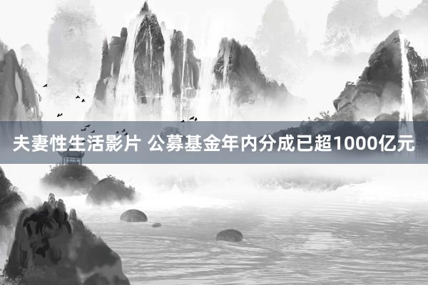 夫妻性生活影片 公募基金年内分成已超1000亿元