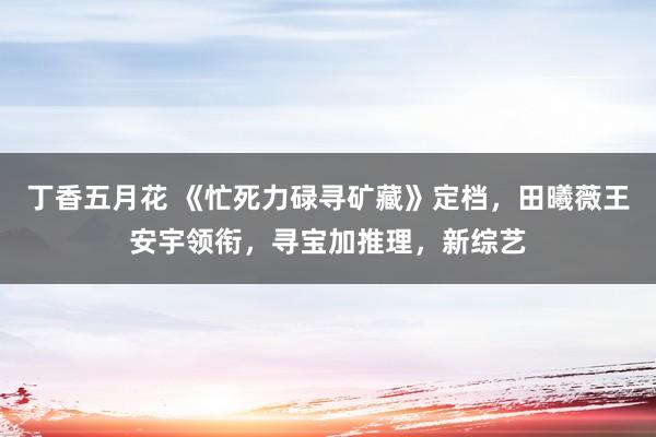 丁香五月花 《忙死力碌寻矿藏》定档，田曦薇王安宇领衔，寻宝加推理，新综艺