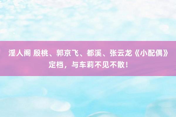 淫人阁 殷桃、郭京飞、都溪、张云龙《小配偶》定档，与车莉不见不散！