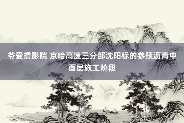 爷爱撸影院 京哈高速三分部沈阳标的参预沥青中面层施工阶段