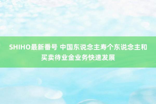 SHIHO最新番号 中国东说念主寿个东说念主和买卖待业金业务快速发展