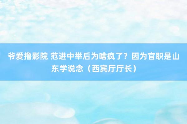 爷爱撸影院 范进中举后为啥疯了？因为官职是山东学说念（西宾厅厅长）