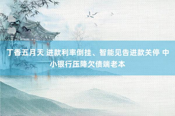 丁香五月天 进款利率倒挂、智能见告进款关停 中小银行压降欠债端老本