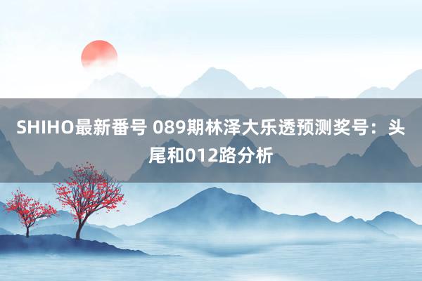 SHIHO最新番号 089期林泽大乐透预测奖号：头尾和012路分析