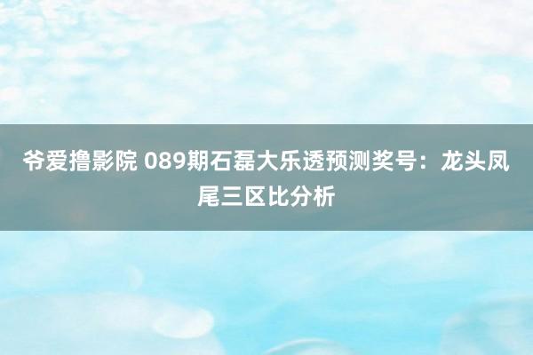 爷爱撸影院 089期石磊大乐透预测奖号：龙头凤尾三区比分析