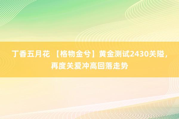 丁香五月花 【格物金兮】黄金测试2430关隘，再度关爱冲高回落走势