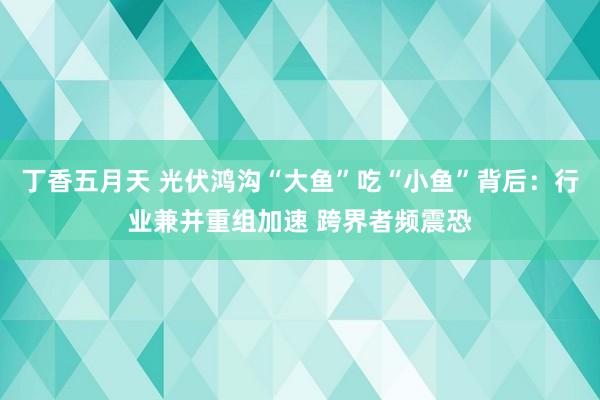 丁香五月天 光伏鸿沟“大鱼”吃“小鱼”背后：行业兼并重组加速 跨界者频震恐