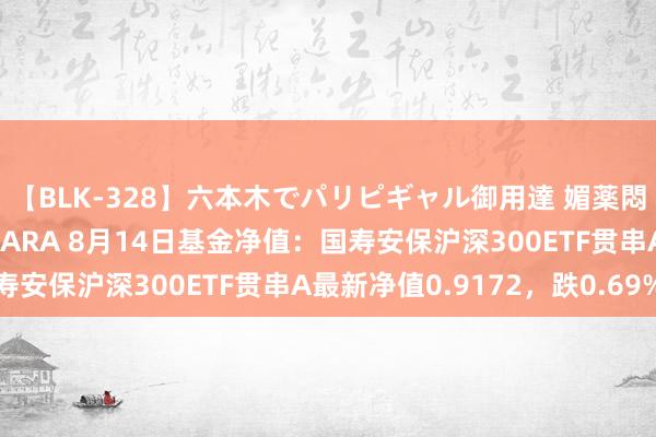 【BLK-328】六本木でパリピギャル御用達 媚薬悶絶オイルマッサージ SARA 8月14日基金净值：国寿安保沪深300ETF贯串A最新净值0.9172，跌0.69%