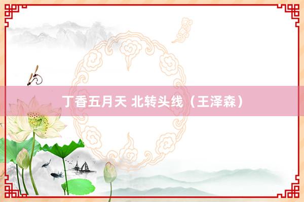 丁香五月天 北转头线（王泽森）