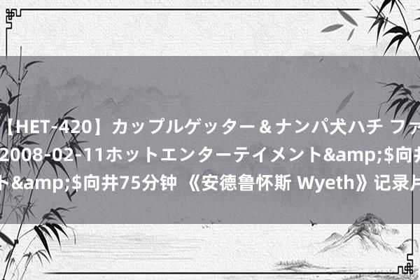 【HET-420】カップルゲッター＆ナンパ犬ハチ ファイト一発</a>2008-02-11ホットエンターテイメント&$向井75分钟 《安德鲁怀斯 Wyeth》记录片资源 1080P全1集