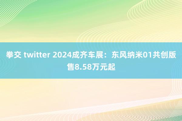 拳交 twitter 2024成齐车展：东风纳米01共创版售8.58万元起