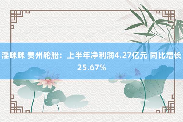 淫咪咪 贵州轮胎：上半年净利润4.27亿元 同比增长25.67%