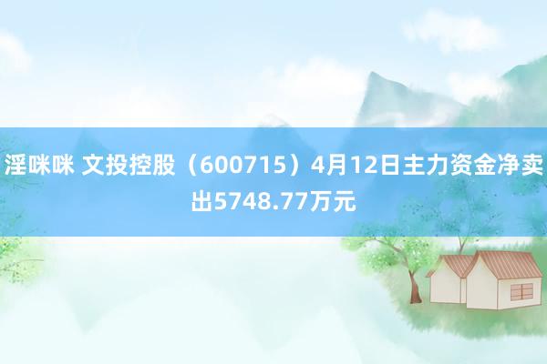 淫咪咪 文投控股（600715）4月12日主力资金净卖出5748.77万元