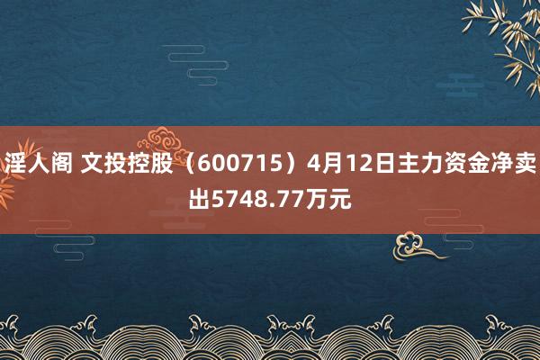 淫人阁 文投控股（600715）4月12日主力资金净卖出5748.77万元