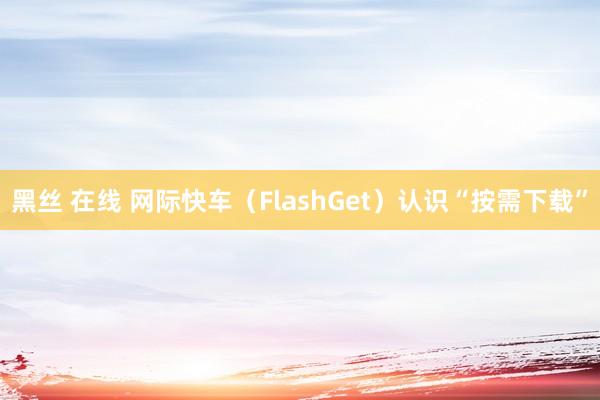 黑丝 在线 网际快车（FlashGet）认识“按需下载”