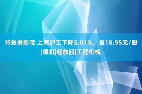 爷爱撸影院 上海沪工下降5.01%，报18.95元/股|焊机|怒放股|工程机械